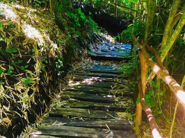 فندق Refugio Buraleo Lodge