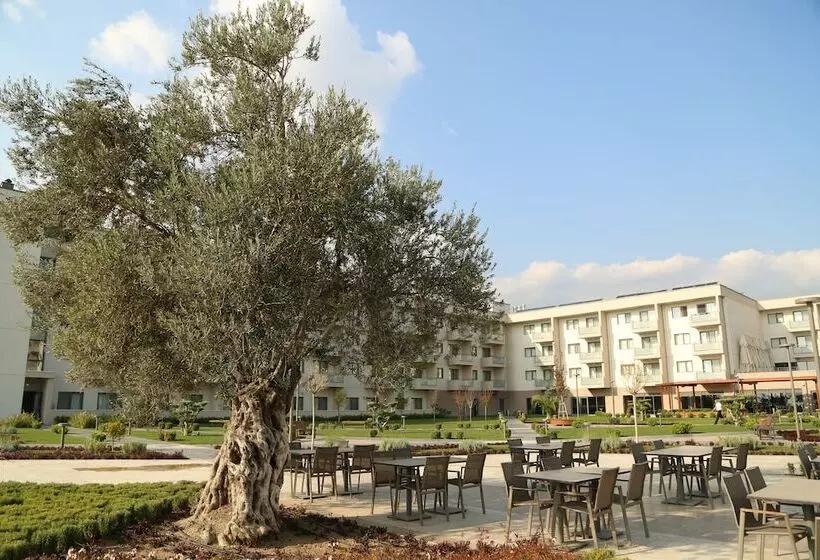 Korfez Termal