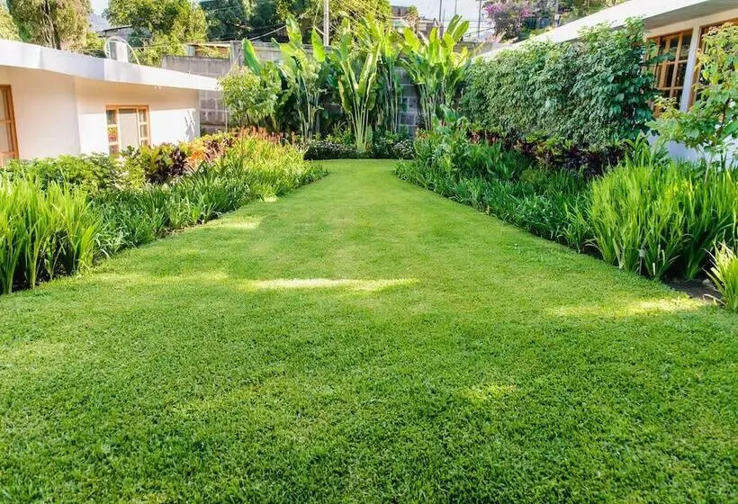 Montebrisa Boutique B&b