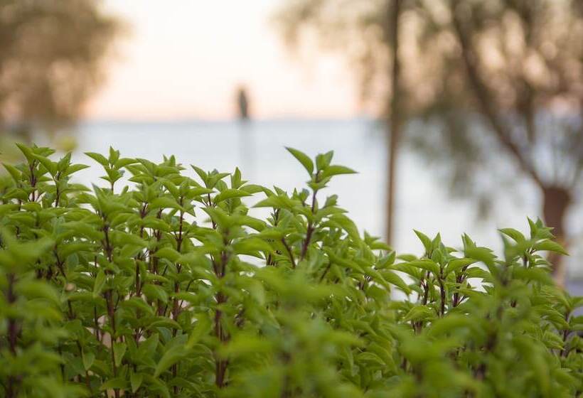 펜션 Aliki Studios