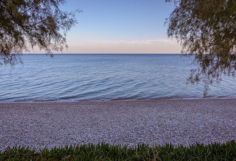 펜션 Aliki Studios