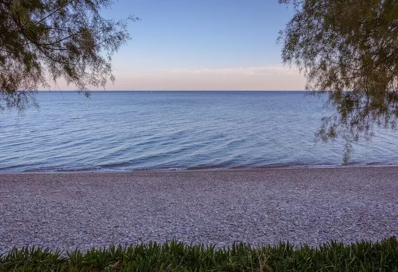 پانسیون Aliki Studios