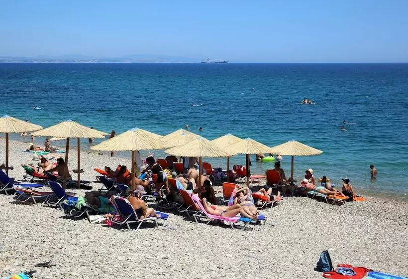 پانسیون Aliki Studios