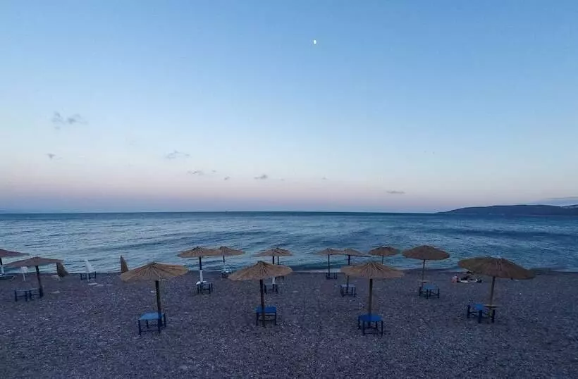 پانسیون Aliki Studios