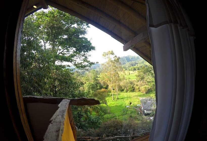 Pension Ecorefugio Las Mirlas