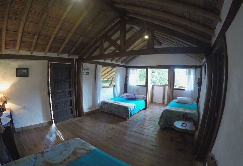 Pension Ecorefugio Las Mirlas