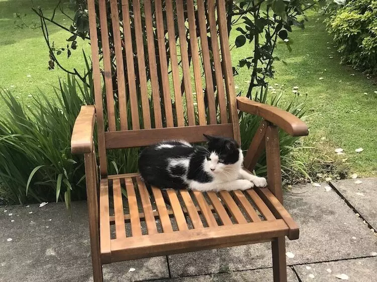 Majatalo Upper Wood End Farm