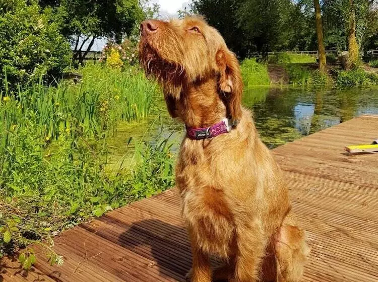 Majatalo Upper Wood End Farm