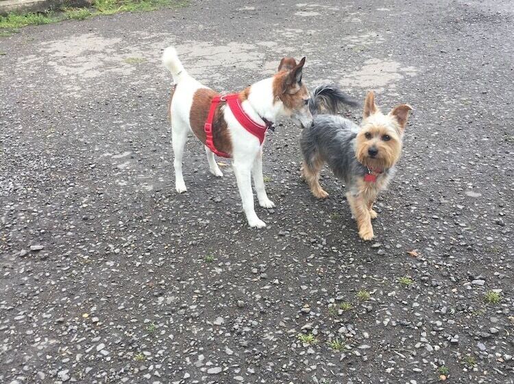 ペンション Upper Wood End Farm