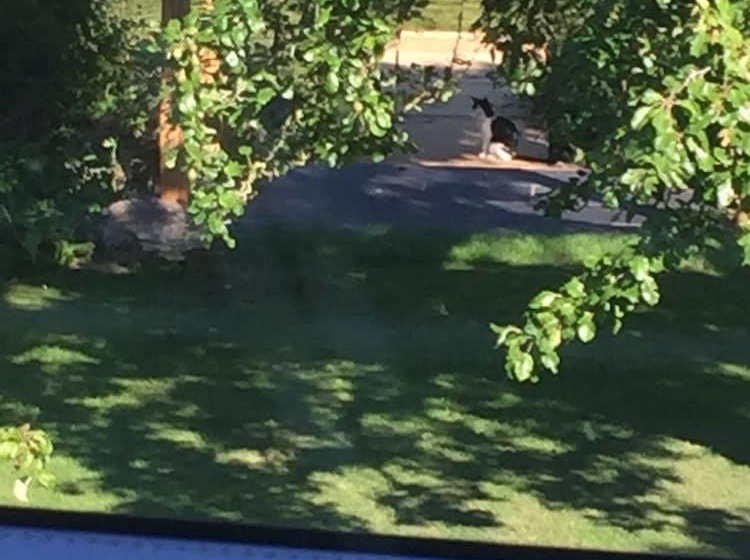 ペンション Upper Wood End Farm