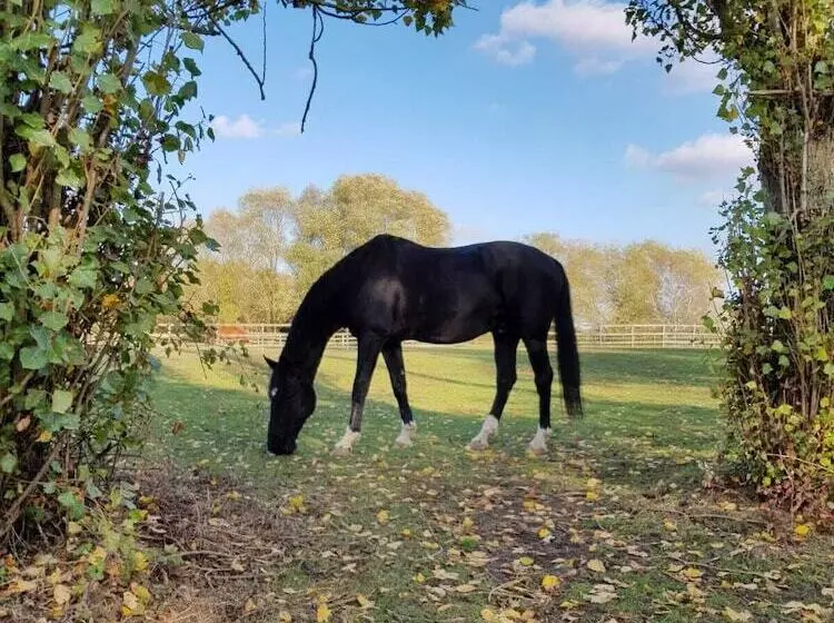 Majatalo Upper Wood End Farm