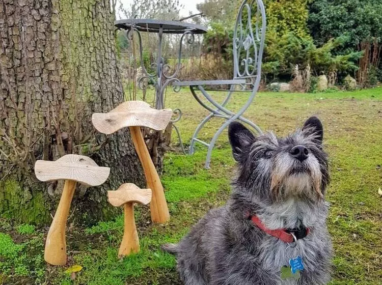 Majatalo Upper Wood End Farm