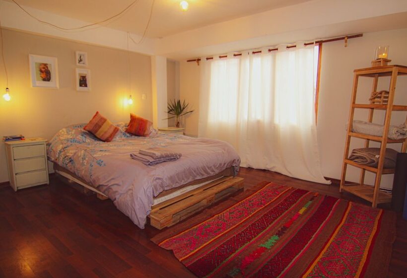 The Green Bear   Hostel