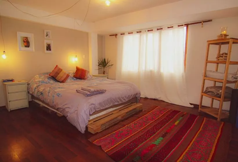 The Green Bear Hostel