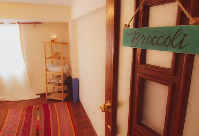 The Green Bear Hostel