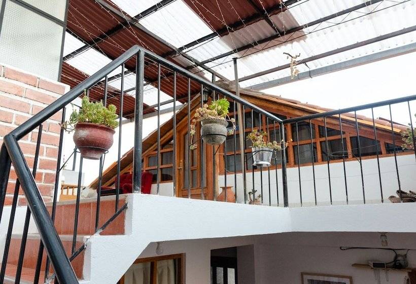 The Green Bear   Hostel