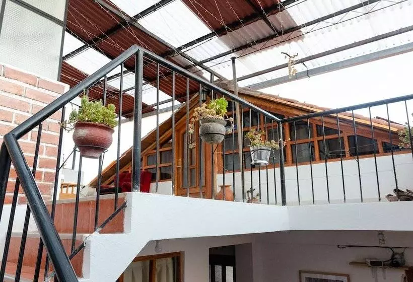 The Green Bear Hostel