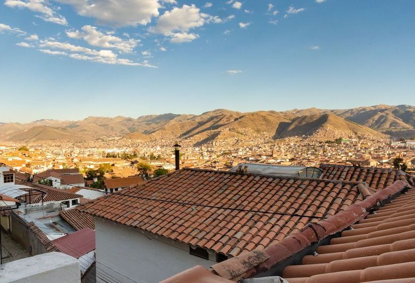 The Green Bear   Hostel