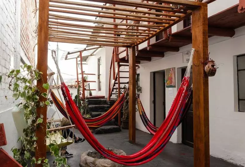 The Green Bear Hostel