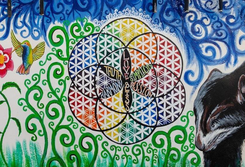 The Green Bear   Hostel