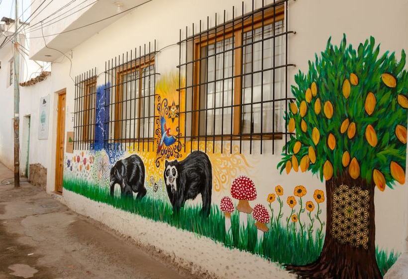 The Green Bear   Hostel