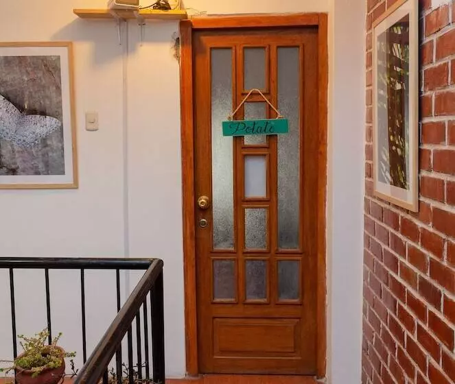 The Green Bear Hostel