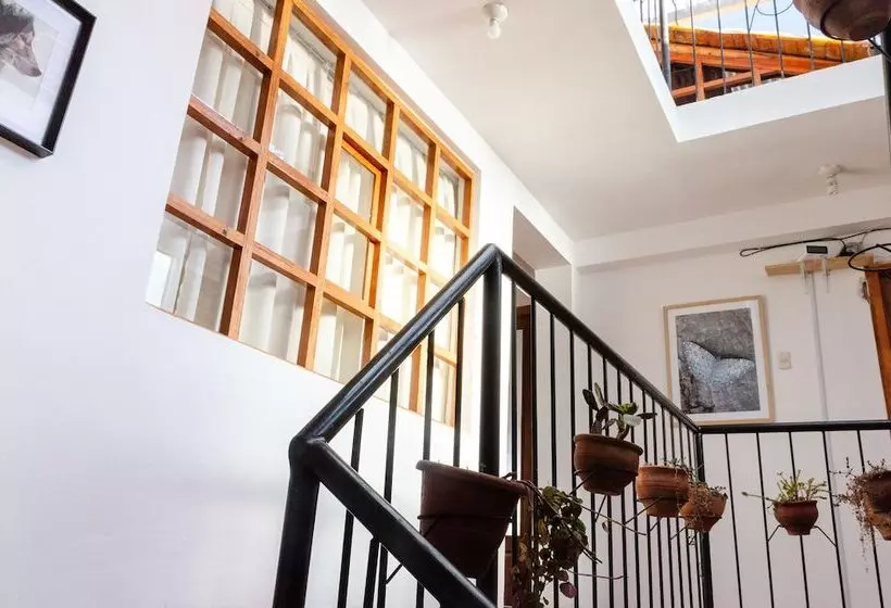 The Green Bear Hostel