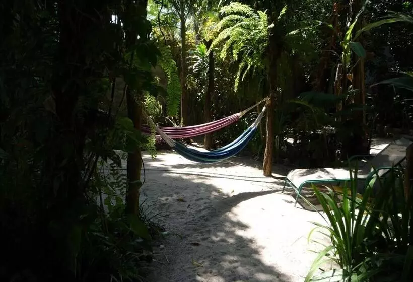 Togo Bed And Breakfast