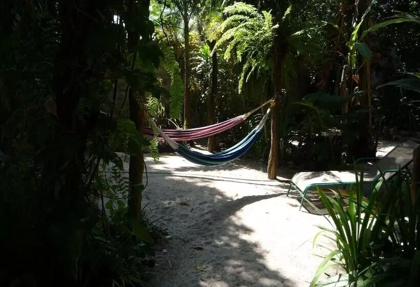 Togo Bed And Breakfast