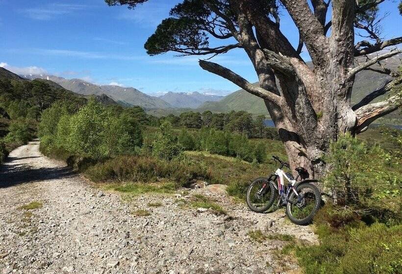 Tomich Holidays Courtyard Cottage