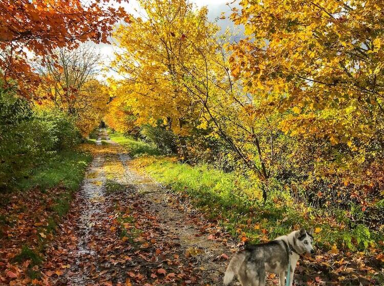 Tomich Holidays Courtyard Cottage
