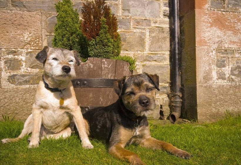 Tomich Holidays Courtyard Cottage