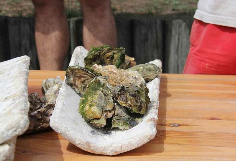 Weekend Hotel Les Pieds Dans L Eau