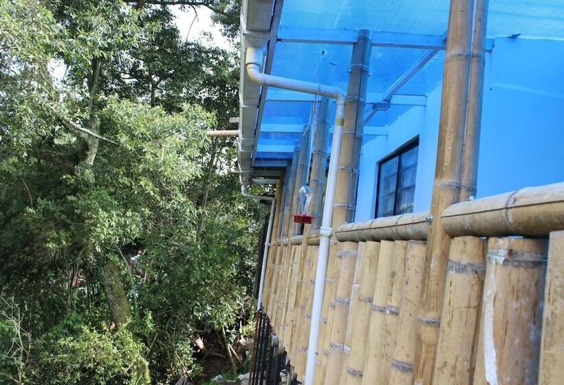 هاستل Hostal Macondo