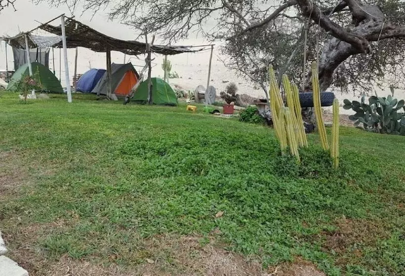 Camping & Hospedaje Sol Y Dunas Ica   Hostel