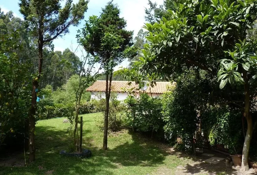 Casa Azenha Branca