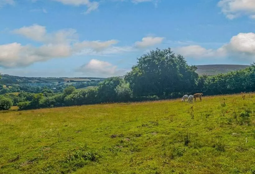 Creenagh's Cottage