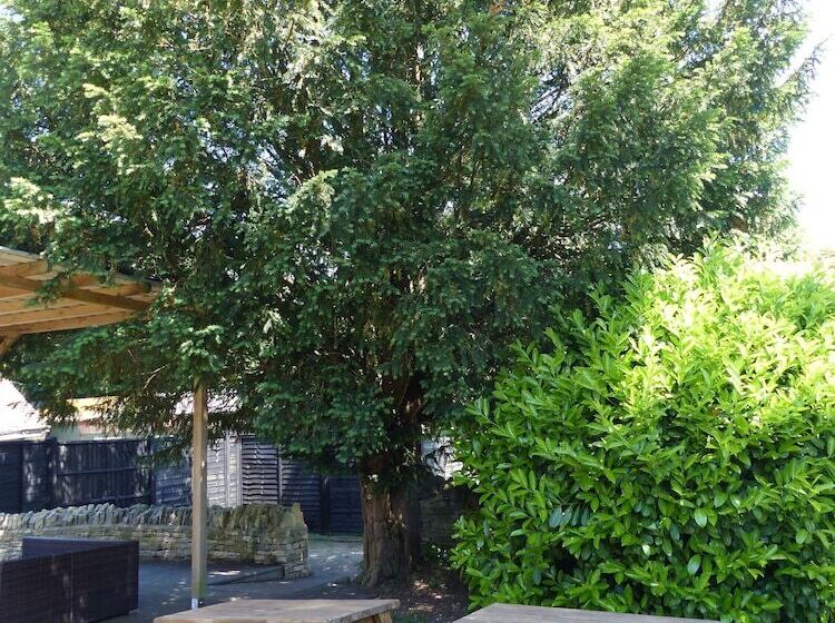 مسافرخانه Halfway House