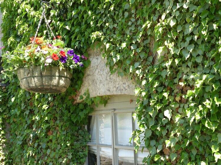 مسافرخانه Halfway House