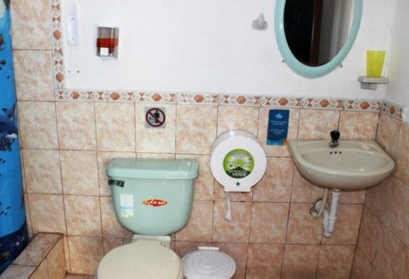 فندق فئة نجمة واحدة Puerto Ayora Island