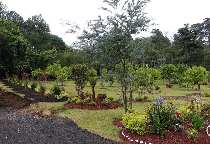 Отель Camponuevo