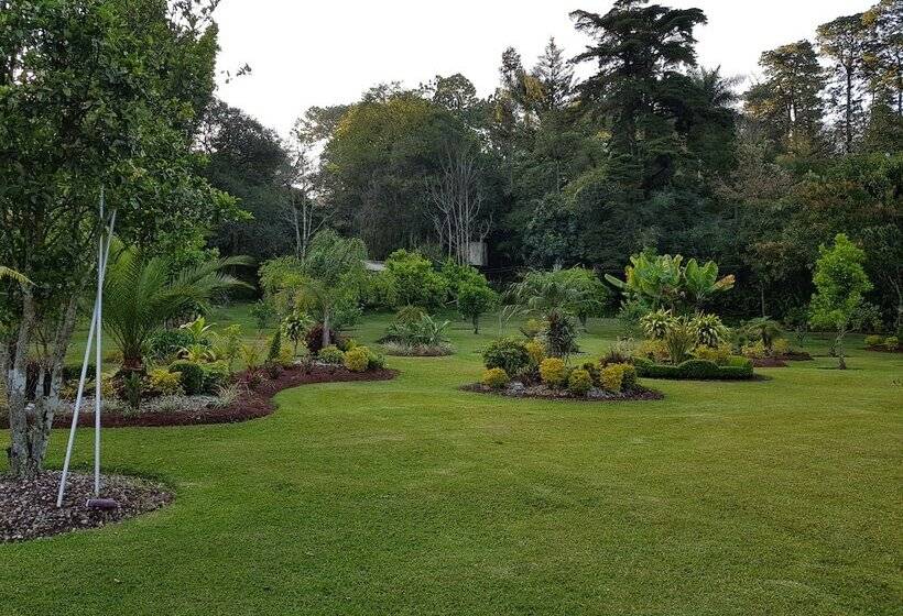 Отель Camponuevo