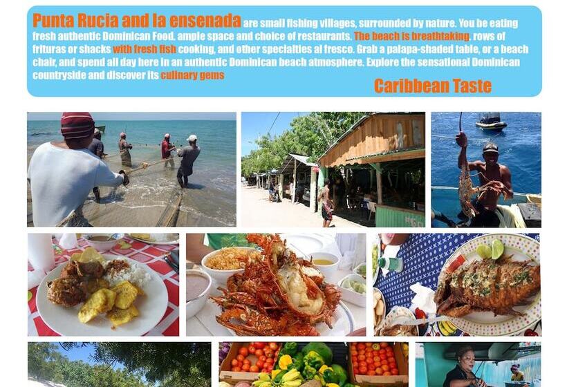 هتل Cayo Arena Loft