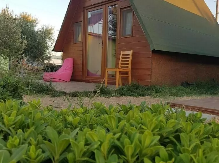 Hotelli Metis Bungalow