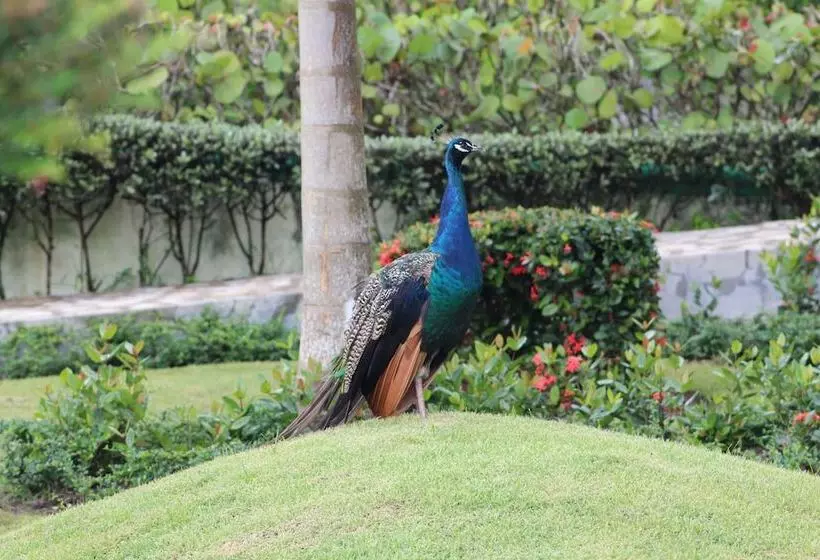 Hotelli Rancho Turístico Doña Callita