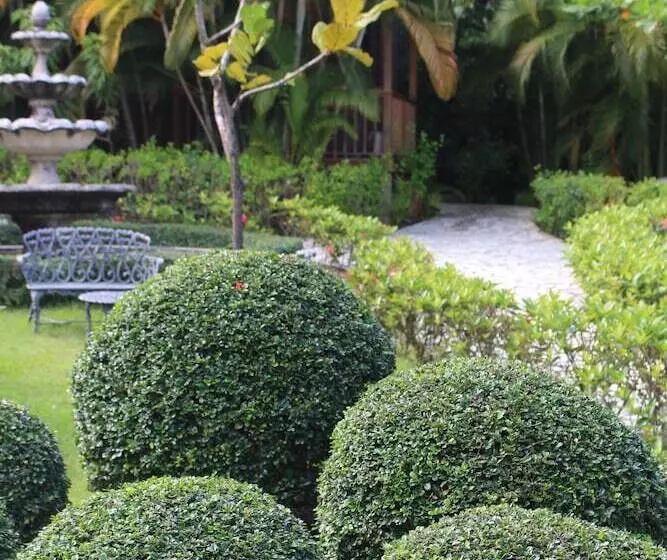 Hotelli Rancho Turístico Doña Callita