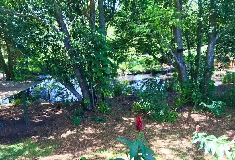 Lilyponds Holiday Park