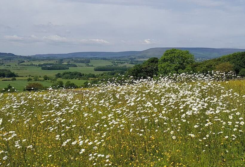 Meadow Cottage At Hill Top Farm