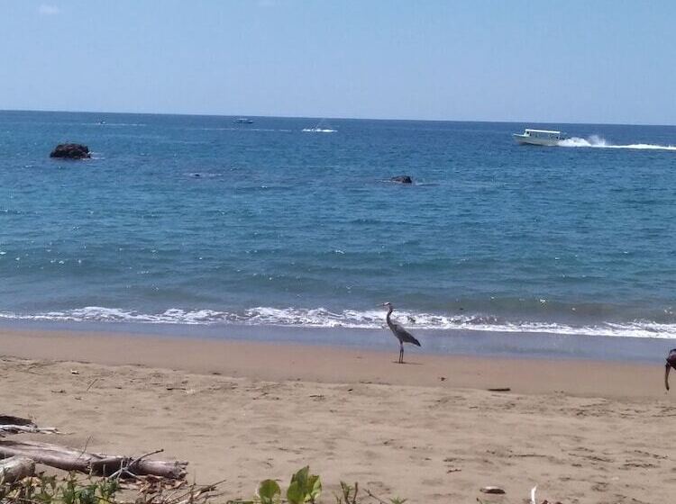 Пансион Cabinasyafethosa Caletas