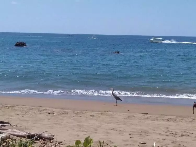 ペンション Cabinasyafethosa Caletas